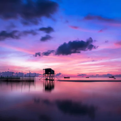 Jasa Digital Marketing